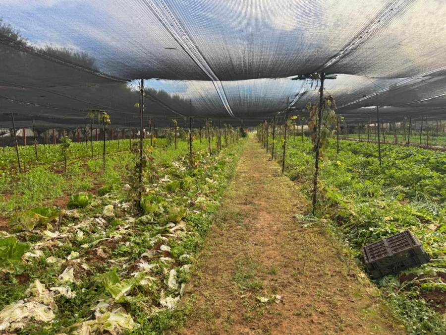 0 Bedroom Property for Sale in Kameelfontein Gauteng