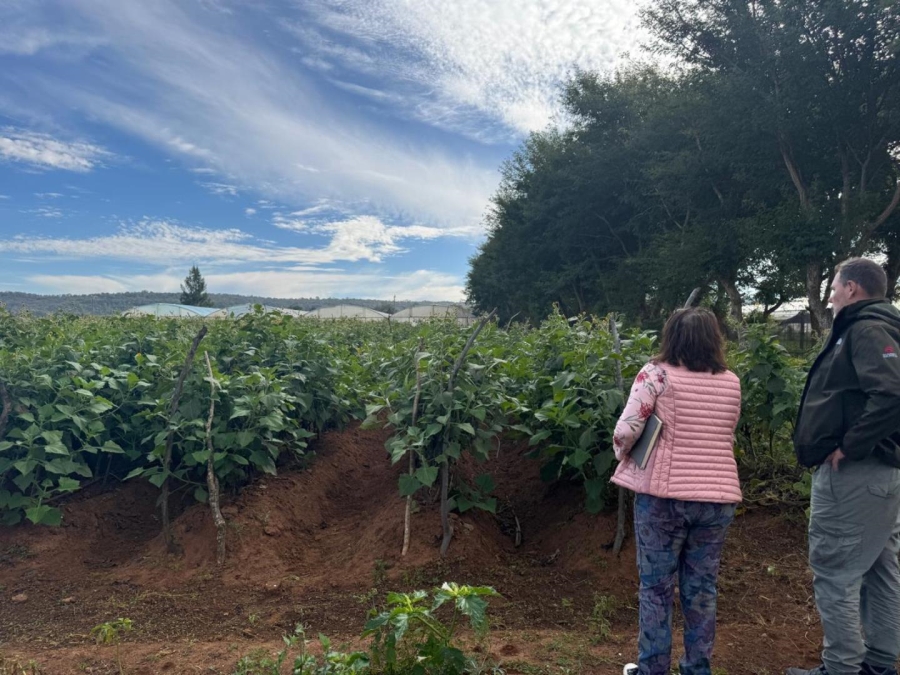 0 Bedroom Property for Sale in Kameelfontein Gauteng