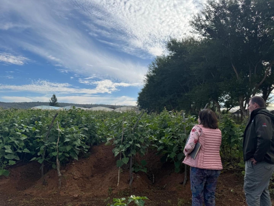 0 Bedroom Property for Sale in Kameelfontein Gauteng