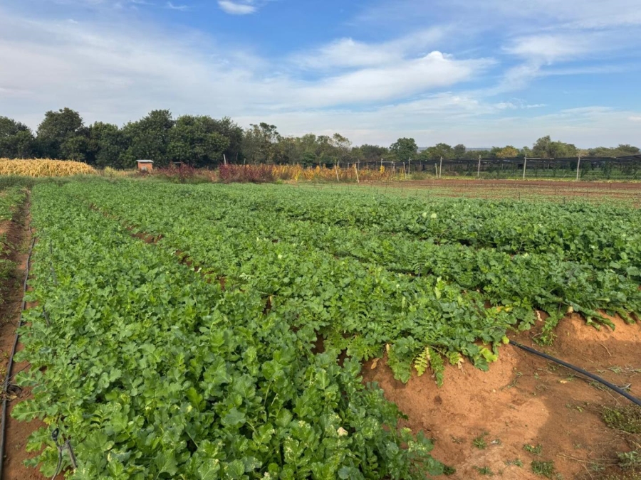 0 Bedroom Property for Sale in Kameelfontein Gauteng