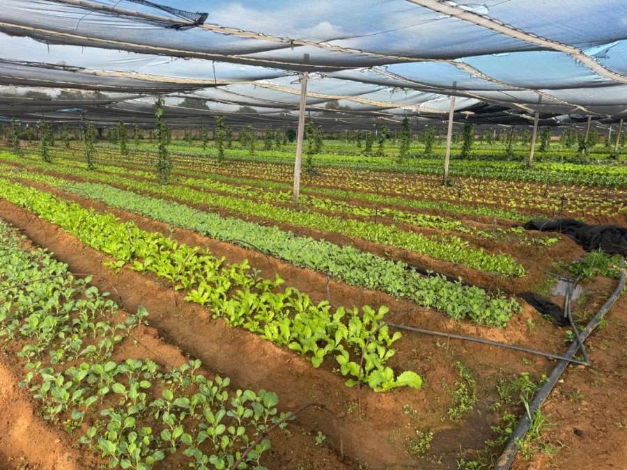 0 Bedroom Property for Sale in Kameelfontein Gauteng