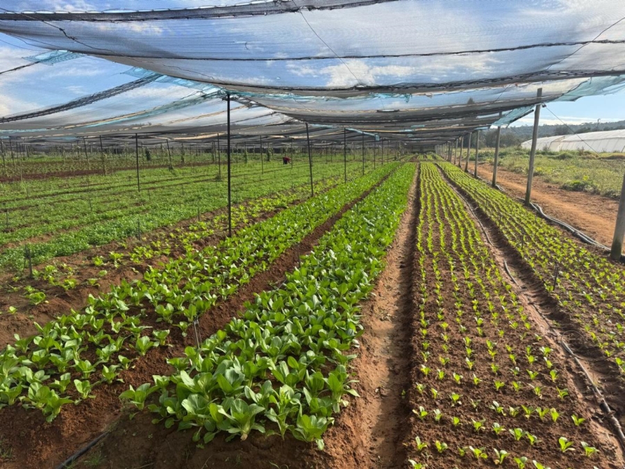 0 Bedroom Property for Sale in Kameelfontein Gauteng