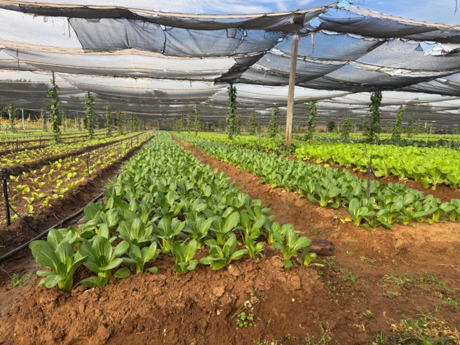 0 Bedroom Property for Sale in Kameelfontein Gauteng