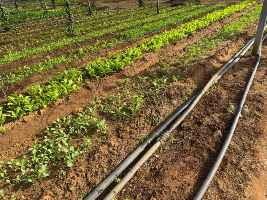 0 Bedroom Property for Sale in Kameelfontein Gauteng