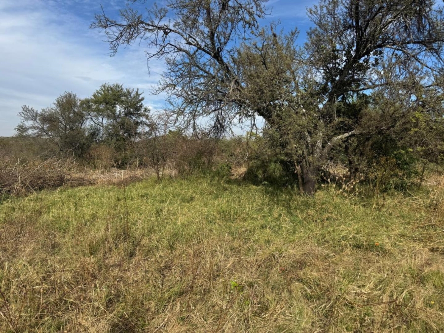 0 Bedroom Property for Sale in Kameelfontein Gauteng