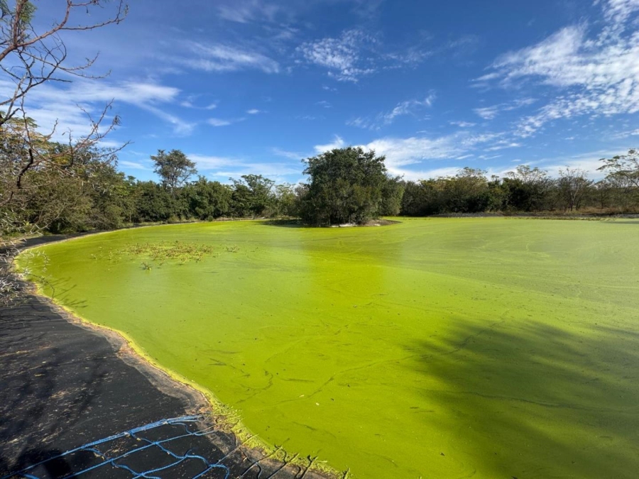 0 Bedroom Property for Sale in Kameelfontein Gauteng