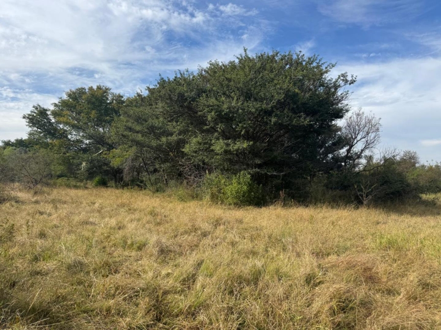 0 Bedroom Property for Sale in Kameelfontein Gauteng