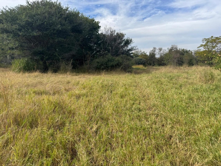 0 Bedroom Property for Sale in Kameelfontein Gauteng