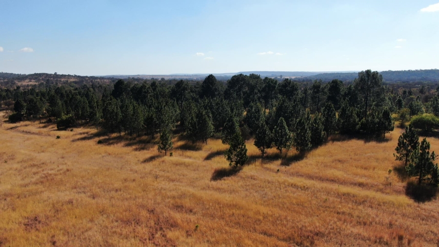 0 Bedroom Property for Sale in Kameelfontein Gauteng