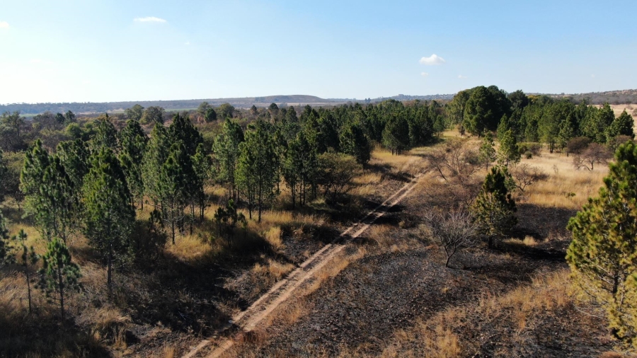 0 Bedroom Property for Sale in Kameelfontein Gauteng