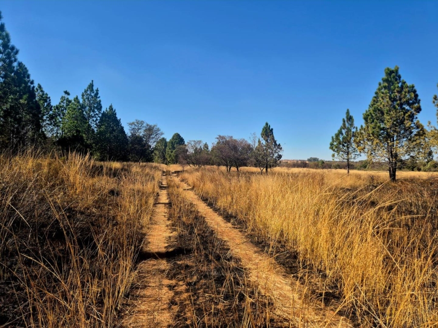 0 Bedroom Property for Sale in Kameelfontein Gauteng