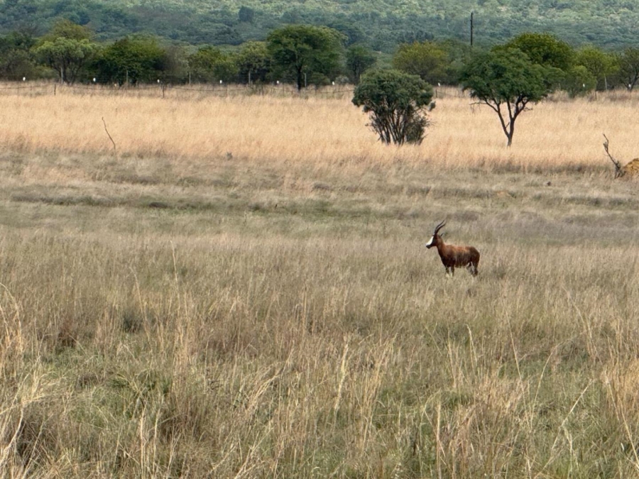 5 Bedroom Property for Sale in Dinokeng Game Reserve Gauteng