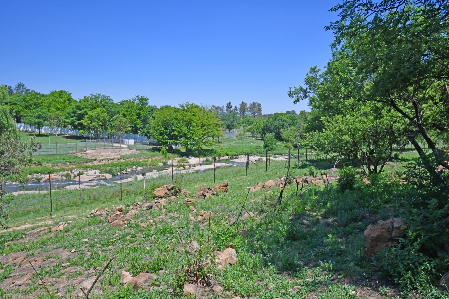 6 Bedroom Property for Sale in Farmall A H Gauteng