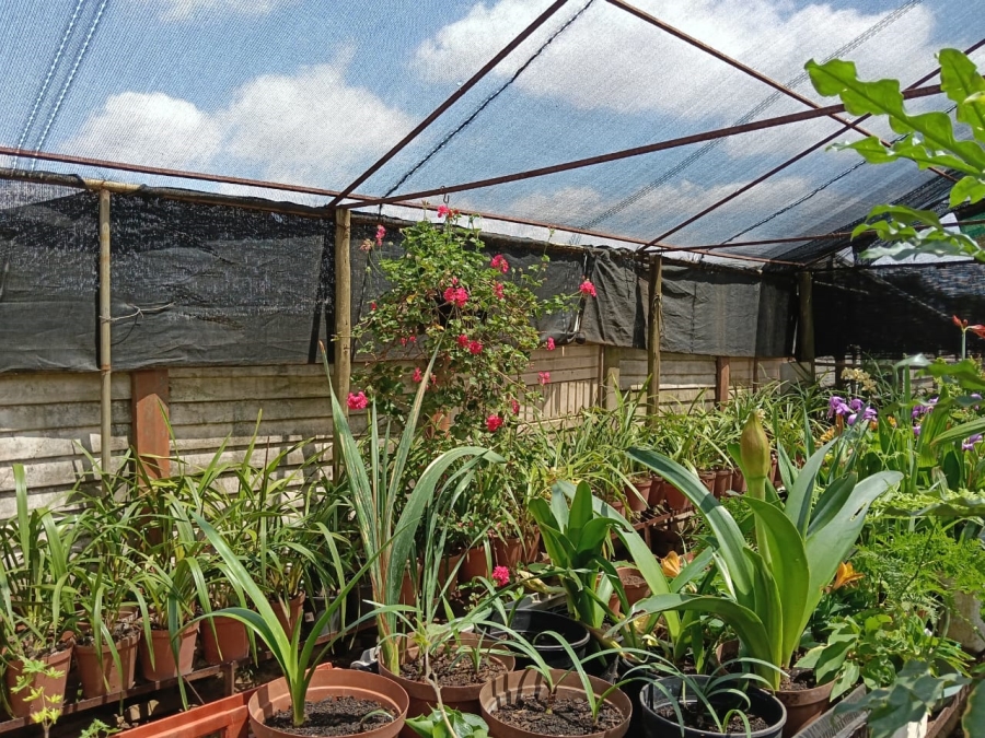 4 Bedroom Property for Sale in Brandvlei A H Gauteng