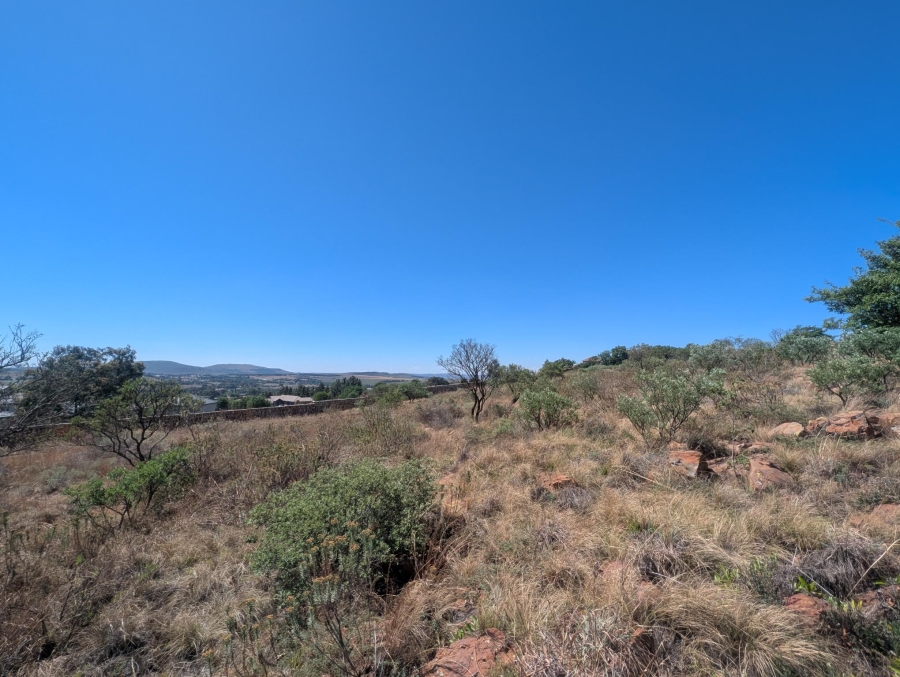 0 Bedroom Property for Sale in Blue Saddle Ranches Gauteng