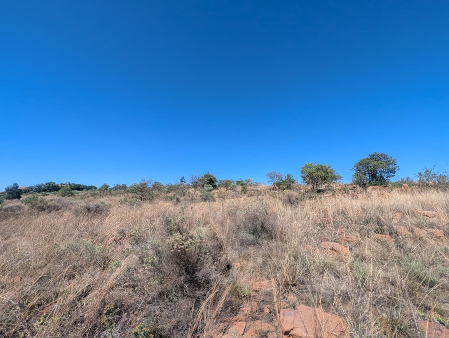 0 Bedroom Property for Sale in Blue Saddle Ranches Gauteng