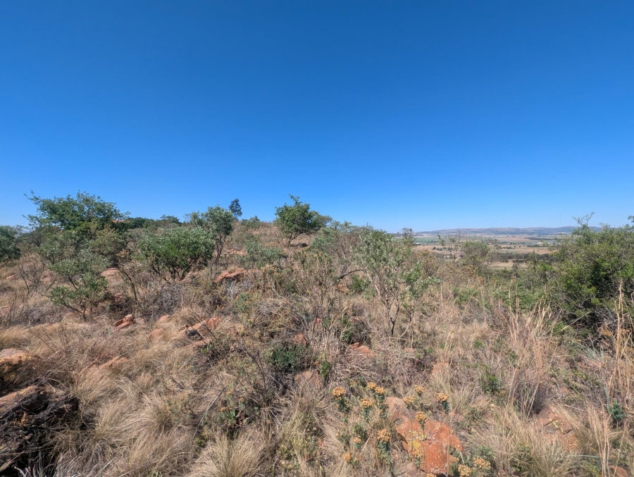 0 Bedroom Property for Sale in Blue Saddle Ranches Gauteng