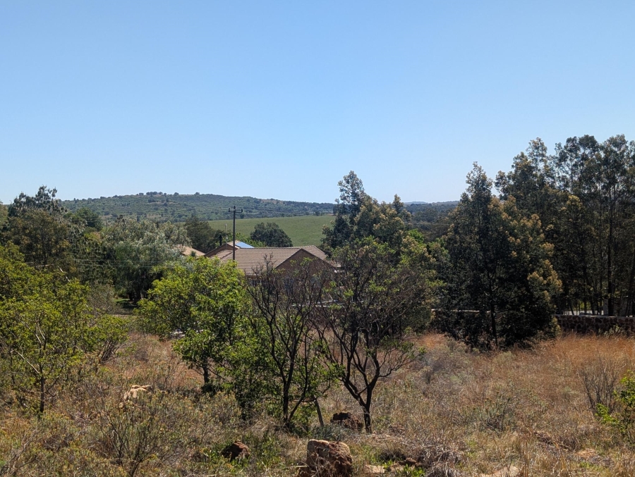 0 Bedroom Property for Sale in Blue Saddle Ranches Gauteng