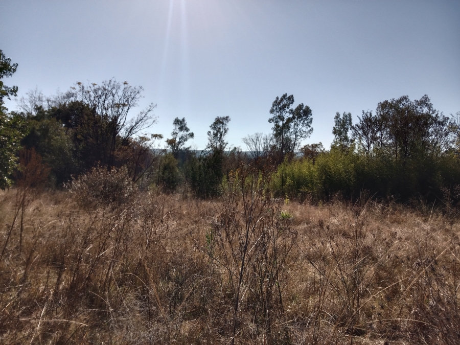 0 Bedroom Property for Sale in Kameelfontein Gauteng