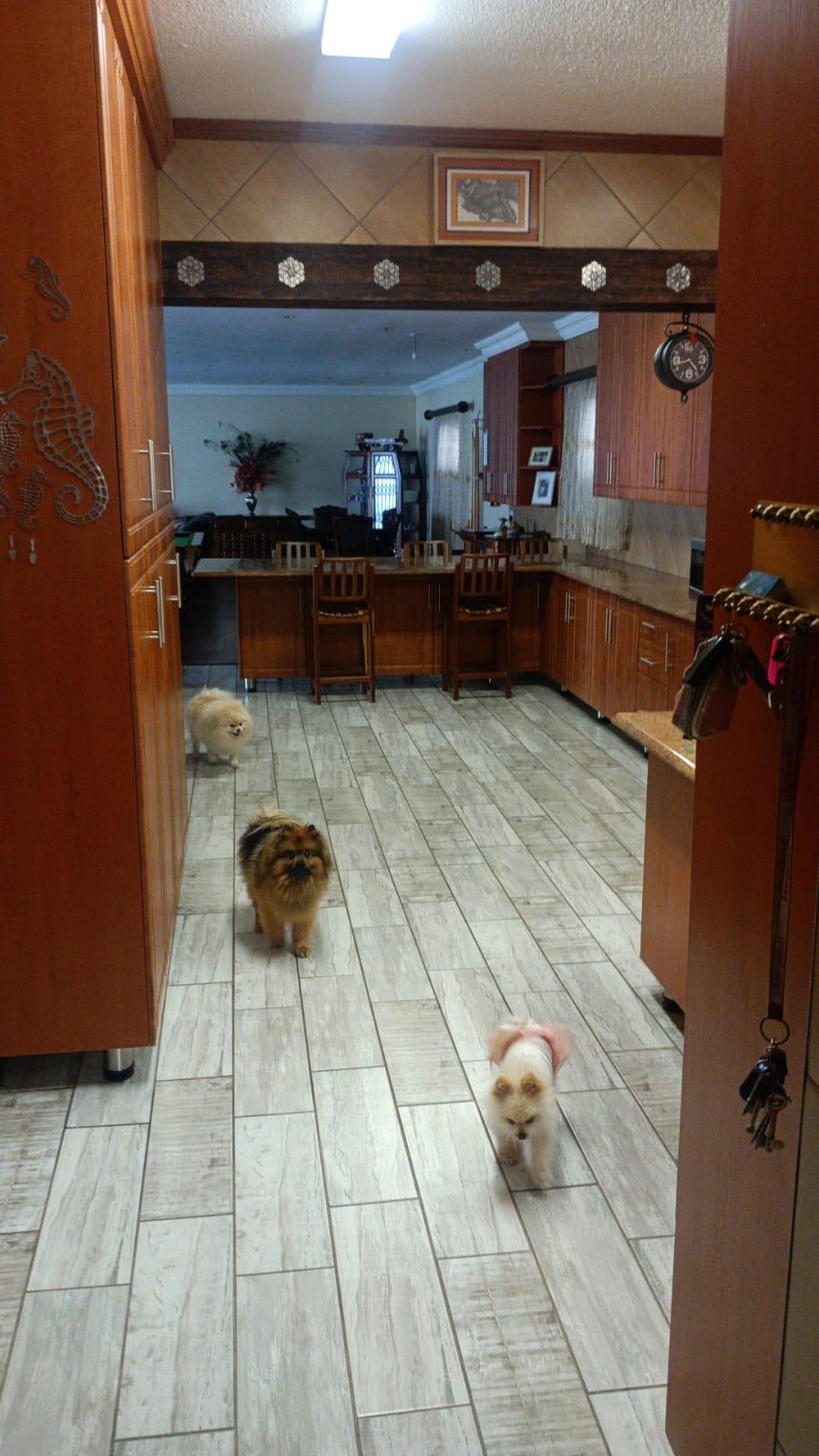 4 Bedroom Property for Sale in Helikonpark Gauteng