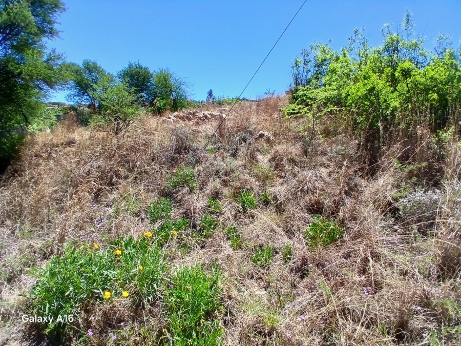 0 Bedroom Property for Sale in Vaaloewer Gauteng