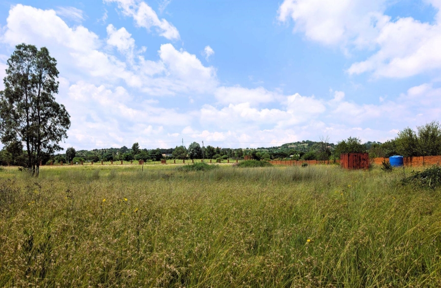 0 Bedroom Property for Sale in Blue Saddle Ranches Gauteng