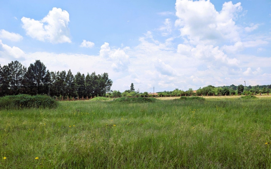 0 Bedroom Property for Sale in Blue Saddle Ranches Gauteng