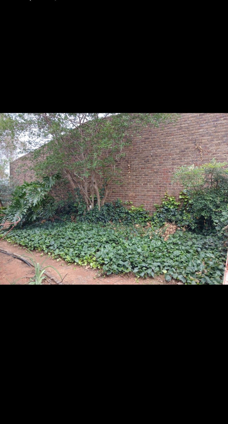 5 Bedroom Property for Sale in Rensburg Gauteng