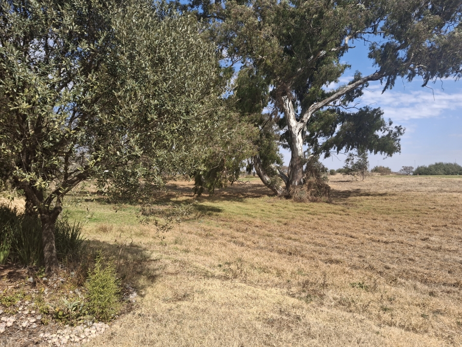 4 Bedroom Property for Sale in Witfontein Gauteng