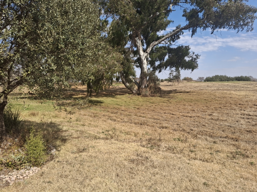 4 Bedroom Property for Sale in Witfontein Gauteng