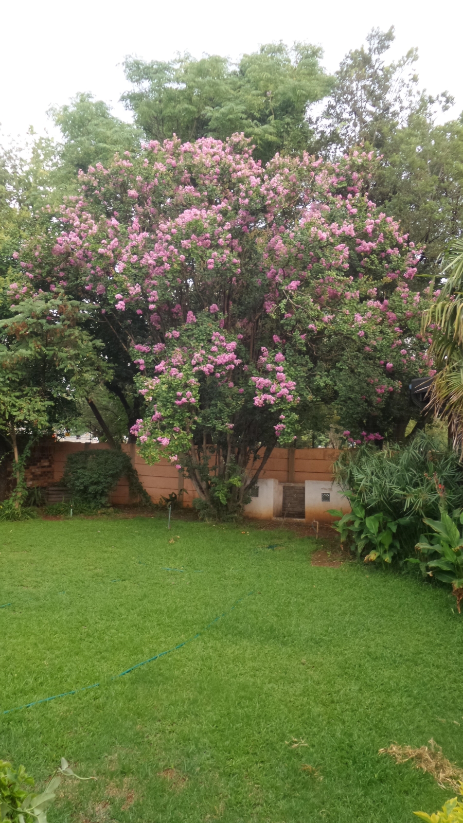 Commercial Property for Sale in Meyerton Central Gauteng