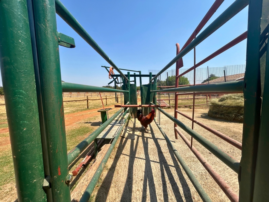 11 Bedroom Property for Sale in Gerardsville Gauteng