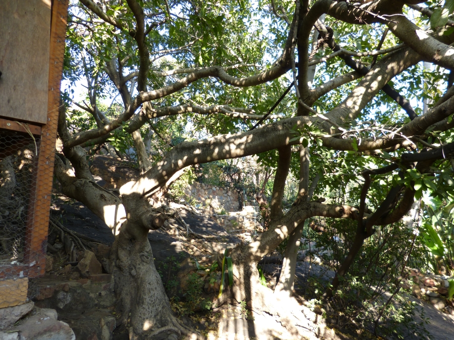 3 Bedroom Property for Sale in Capital Park Gauteng