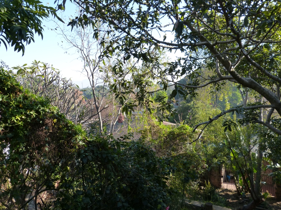 3 Bedroom Property for Sale in Capital Park Gauteng