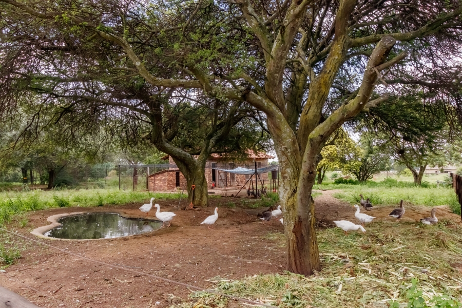 4 Bedroom Property for Sale in Glen Austin Gauteng