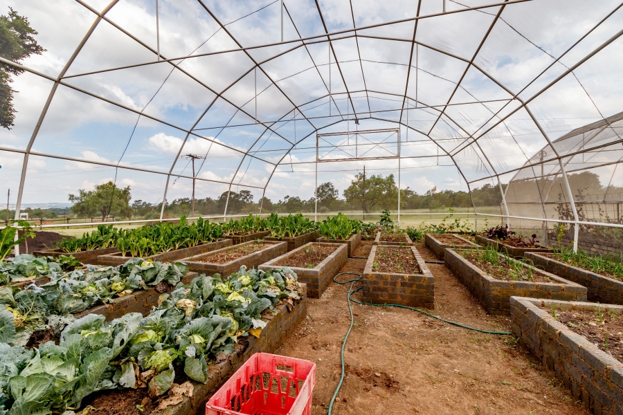 4 Bedroom Property for Sale in Glen Austin Gauteng