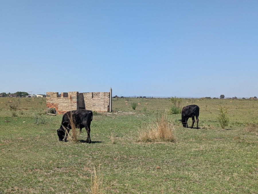 0 Bedroom Property for Sale in Nelsonia Gauteng