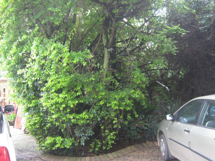 4 Bedroom Property for Sale in Ferndale Gauteng