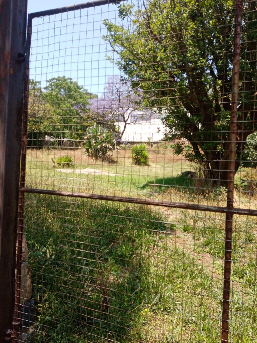 0 Bedroom Property for Sale in Bedfordview Gauteng