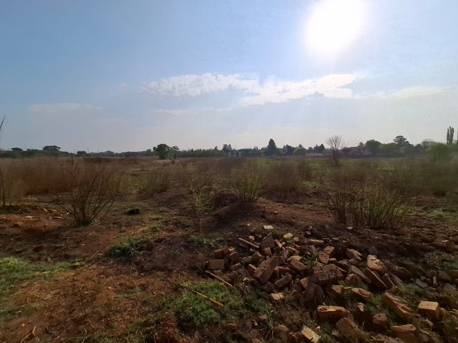 0 Bedroom Property for Sale in Henley on Klip Gauteng