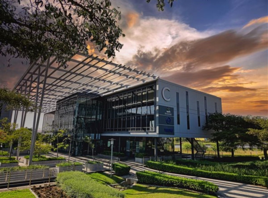 To Let Commercial Property for Rent in Woodmead Gauteng
