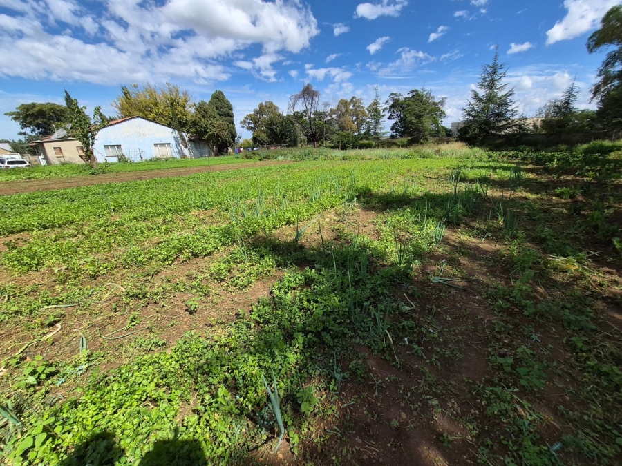 6 Bedroom Property for Sale in Homestead Apple Orchards Gauteng