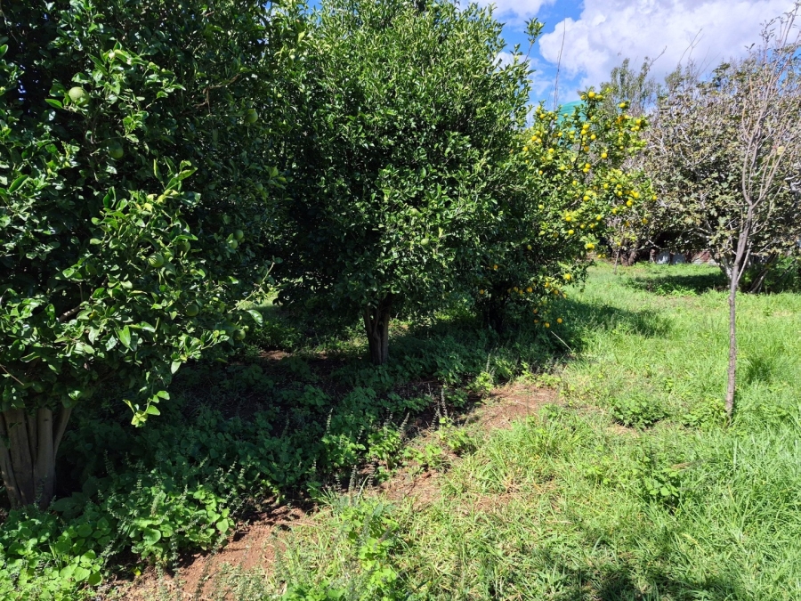 6 Bedroom Property for Sale in Homestead Apple Orchards Gauteng