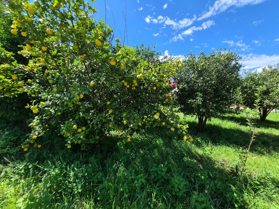6 Bedroom Property for Sale in Homestead Apple Orchards Gauteng