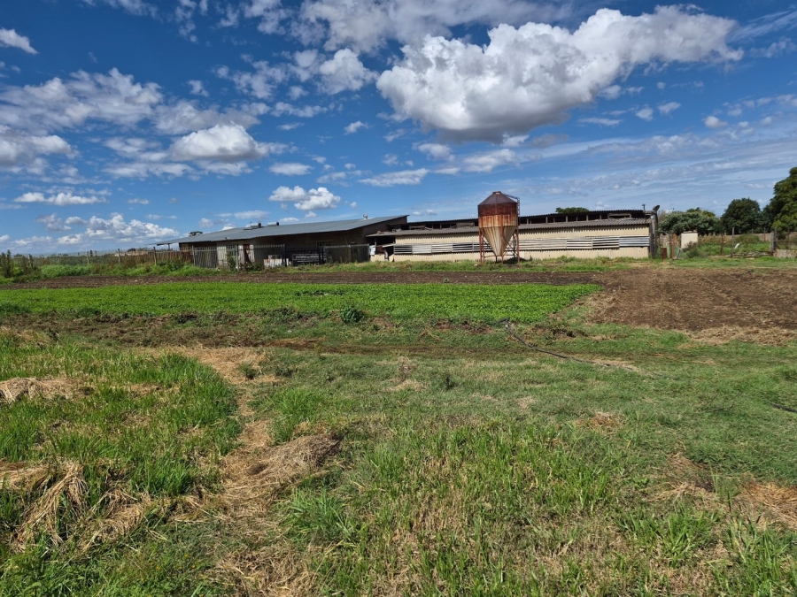 6 Bedroom Property for Sale in Homestead Apple Orchards Gauteng