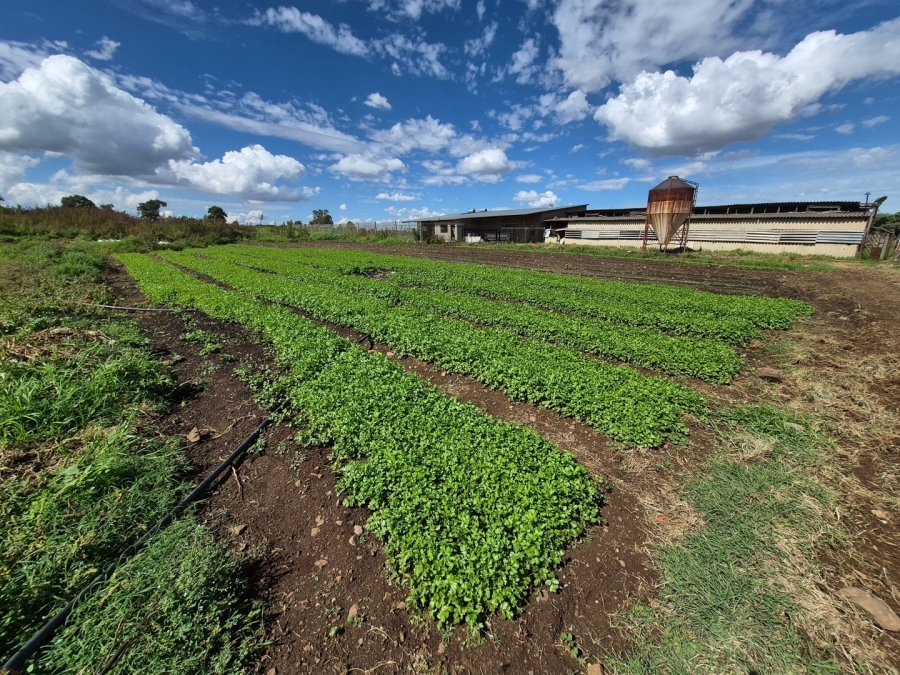 6 Bedroom Property for Sale in Homestead Apple Orchards Gauteng