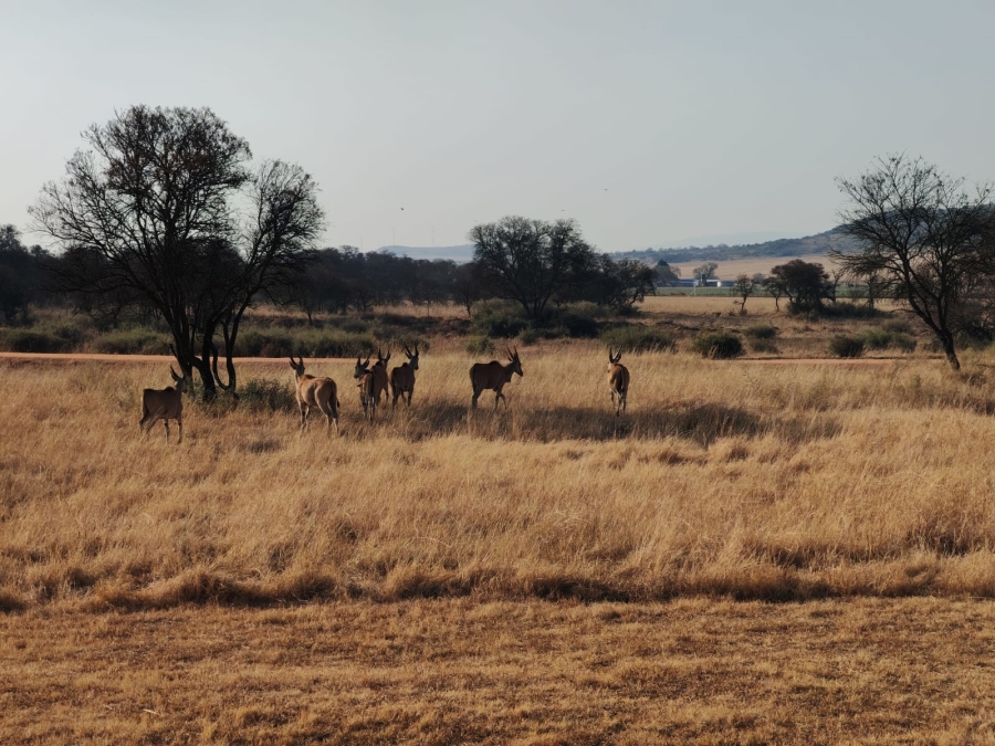 0 Bedroom Property for Sale in Three Rivers East Gauteng