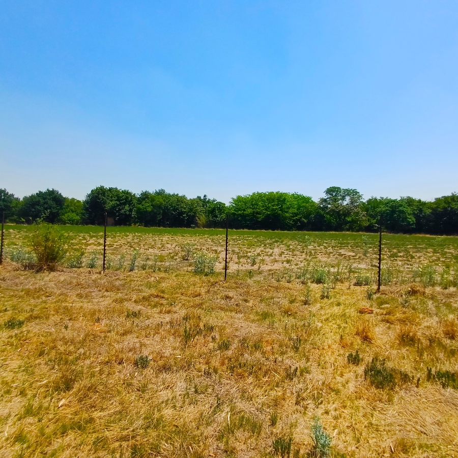 3 Bedroom Property for Sale in Uitvlugt A H Gauteng