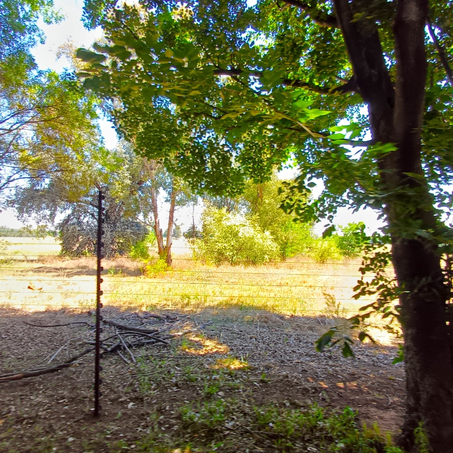 3 Bedroom Property for Sale in Uitvlugt A H Gauteng