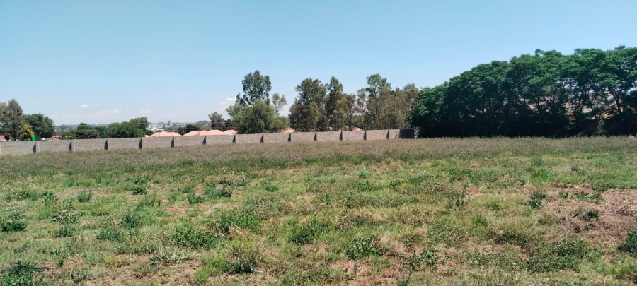 0 Bedroom Property for Sale in Riversdale Gauteng